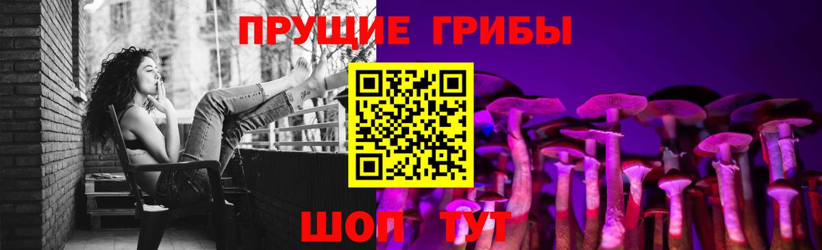 Псилоцибиновые грибы GOLDEN TEACHER  Галлюциногенные грибы Psilocybe  где купить   Кореновск  Вход с VPN 